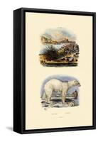 Polar Bear, 1833-39-null-Framed Stretched Canvas