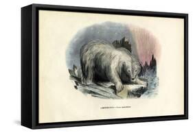 Polar Bear, 1863-79-Raimundo Petraroja-Framed Stretched Canvas