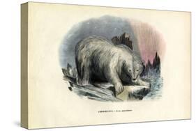 Polar Bear, 1863-79-Raimundo Petraroja-Stretched Canvas