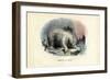 Polar Bear, 1863-79-Raimundo Petraroja-Framed Giclee Print