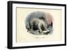 Polar Bear, 1863-79-Raimundo Petraroja-Framed Giclee Print