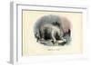 Polar Bear, 1863-79-Raimundo Petraroja-Framed Giclee Print