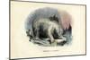 Polar Bear, 1863-79-Raimundo Petraroja-Mounted Giclee Print