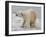 Polar Bear after the Bath Full Bleed-Martin Fowkes-Framed Giclee Print