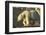 Polar Bear along Hudson Bay, Nunavut, Canada-Paul Souders-Framed Photographic Print