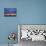 Polar Bear and Arctic Terns, Hudson Bay, Manitoba, Canada-Paul Souders-Photographic Print displayed on a wall