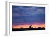 Polar Bear and Arctic Terns, Hudson Bay, Manitoba, Canada-Paul Souders-Framed Photographic Print