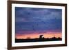 Polar Bear and Arctic Terns, Hudson Bay, Manitoba, Canada-Paul Souders-Framed Photographic Print