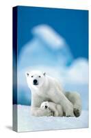 Polar Bear and Baby-null-Stretched Canvas