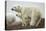 Polar Bear and Cub by Hudson Bay, Manitoba, Canada-Paul Souders-Stretched Canvas