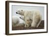 Polar Bear and Cub by Hudson Bay, Manitoba, Canada-Paul Souders-Framed Photographic Print