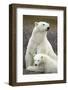 Polar Bear and Cub by Hudson Bay, Manitoba, Canada-Paul Souders-Framed Photographic Print