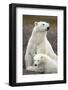 Polar Bear and Cub by Hudson Bay, Manitoba, Canada-Paul Souders-Framed Photographic Print