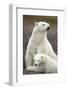 Polar Bear and Cub by Hudson Bay, Manitoba, Canada-Paul Souders-Framed Photographic Print