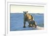 Polar Bear and Cub Standing on Sea Ice at Sunset Near Harbor Islands,Canada-Paul Souders-Framed Photographic Print