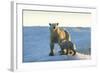 Polar Bear and Cub Standing on Sea Ice at Sunset Near Harbor Islands,Canada-Paul Souders-Framed Photographic Print