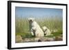 Polar Bear and Cubs, Hudson Bay, Manitoba, Canada-Paul Souders-Framed Photographic Print