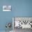 Polar Bear and Cubs X Two Sitting-null-Photographic Print displayed on a wall