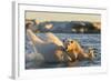 Polar Bear and Young Cub Cling to Melting Sea Ice at Sunset Near Harbor Islands,Canada-Paul Souders-Framed Photographic Print