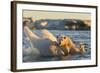 Polar Bear and Young Cub Cling to Melting Sea Ice at Sunset Near Harbor Islands,Canada-Paul Souders-Framed Photographic Print