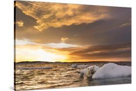 Polar Bear and Young Cub Cling to Melting Sea Ice at Sunset Near Harbor Islands,Canada-Paul Souders-Stretched Canvas