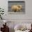 Polar Bear, Arctic National Wildlife Refuge, Alaska, USA-Hugh Rose-Photographic Print displayed on a wall