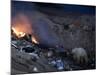 Polar Bear at the Dump, Ursus Maritimus, Churchill, Manitoba, Canada-Thorsten Milse-Mounted Photographic Print