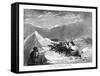 Polar Bear Attacked by Eskimo Dogs, 1877-null-Framed Stretched Canvas