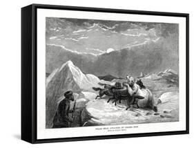 Polar Bear Attacked by Eskimo Dogs, 1877-null-Framed Stretched Canvas