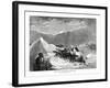 Polar Bear Attacked by Eskimo Dogs, 1877-null-Framed Giclee Print