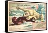 Polar Bear Attacking Seal-null-Framed Stretched Canvas