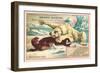 Polar Bear Attacking Seal-null-Framed Art Print