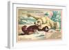 Polar Bear Attacking Seal-null-Framed Art Print