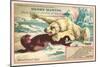 Polar Bear Attacking Seal-null-Mounted Art Print