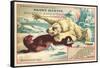 Polar Bear Attacking Seal-null-Framed Stretched Canvas