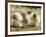 Polar Bear Cub, Berlin, Germany-Franka Bruns-Framed Photographic Print