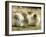 Polar Bear Cub, Berlin, Germany-Franka Bruns-Framed Photographic Print