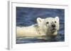 Polar Bear Cub, Hudson Bay, Manitoba, Canada-Paul Souders-Framed Photographic Print