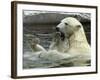 Polar Bear Cub Plays with His Mother in their Pool During Hot Weather at the Zoo in Stuttgart-null-Framed Photographic Print
