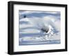 Polar Bear Cubs Looking out of the Den, Wapusk National Park, Churchill, Manitoba, Canada-Thorsten Milse-Framed Photographic Print