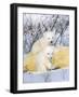 Polar Bear Cubs on Mother-null-Framed Photographic Print