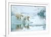 Polar bear cubs playing, leaping across sea ice, reflected in water-Danny Green-Framed Photographic Print