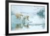 Polar bear cubs playing, leaping across sea ice, reflected in water-Danny Green-Framed Photographic Print