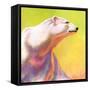 "Polar Bear,"February 1, 1936-Jack Murray-Framed Stretched Canvas