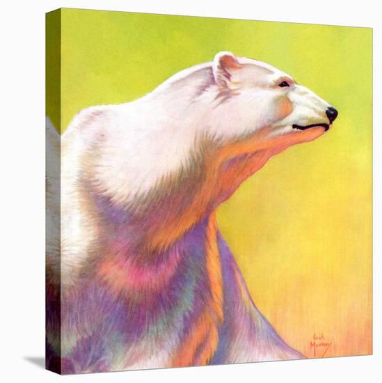 "Polar Bear,"February 1, 1936-Jack Murray-Stretched Canvas