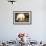 Polar Bear Feeding on a Seal Carcass, Button Islands, Labrador, Canada, North America-Gabrielle and Michel Therin-Weise-Framed Photographic Print displayed on a wall