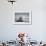 Polar Bear Feeding on Walrus, Hudson Bay, Nunavut, Canada-Paul Souders-Framed Photographic Print displayed on a wall