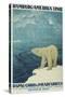 Polar Bear, Fjord Cruise Travel Poster-Found Image Press-Stretched Canvas