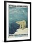 Polar Bear, Fjord Cruise Travel Poster-Found Image Press-Framed Giclee Print