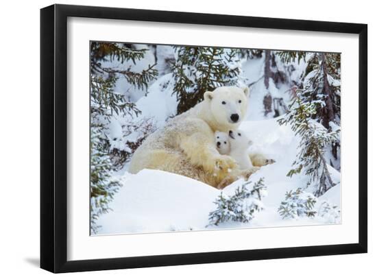 Premium Photographic Print, , large